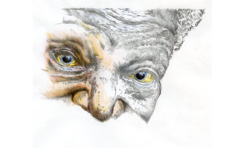 Eyes illustration in pencil by Sam Marsh